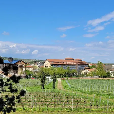 Apartment Ihr Bett Mit Blick Auf Weinberge Bad Duerkheim