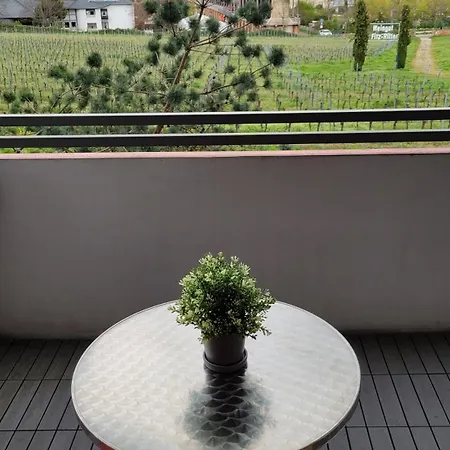 Ihr Bett Mit Blick Auf Weinberge Apartment