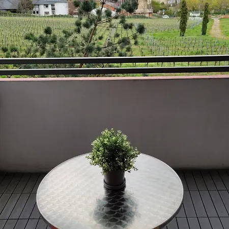 Ihr Bett Mit Blick Auf Weinberge Daire