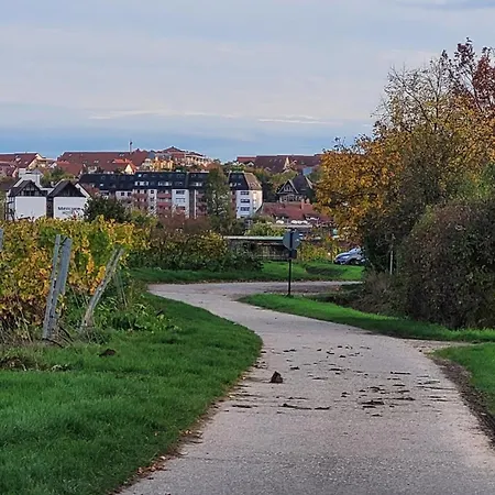 Daire Ihr Bett Mit Blick Auf Weinberge Bad Dürkheim