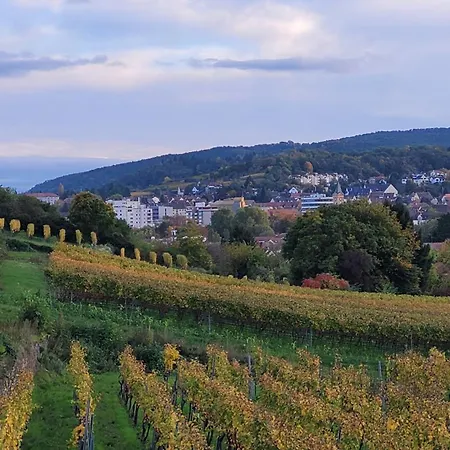 Ihr Bett Mit Blick Auf Weinberge * Bad Duerkheim