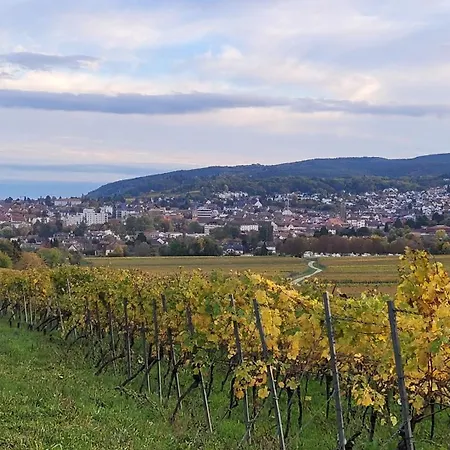 Daire Ihr Bett Mit Blick Auf Weinberge