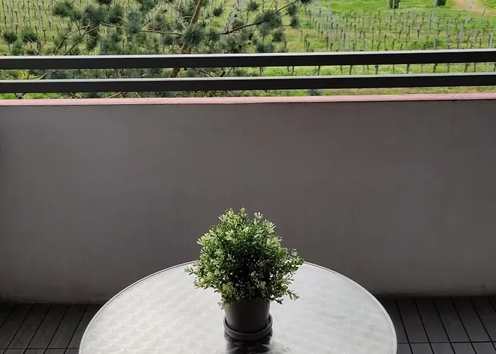 Ihr Bett Mit Blick Auf Weinberge 公寓