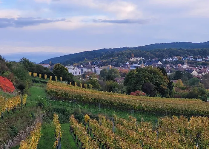 Ihr Bett Mit Blick Auf Weinberge * 巴特迪克海姆