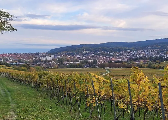 公寓 Ihr Bett Mit Blick Auf Weinberge